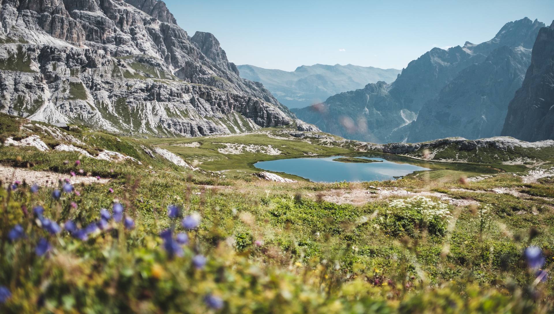 Auf dem Bild sieht man eine Alpenlandschaft, im Vordergrund mit Alpenröschen und im Hintergrund mit vielen Bergen und einem kristallblauen See